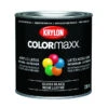 Krylon Peinture à émail Intérieure/extérieure COLORmaxx à Base D'eau, Noir Lustré (236 ML) -Teinture De Peinture 14495995 L