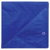 Bâche, Project Source, Polyéthylène, 30 Pi X 50 Pi, Bleu -Teinture De Peinture 19595009 L