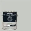 Peinture Murale D'intérieur Colour Spark Gris Ciment Velouté 3,78 L (Paquet De 2)